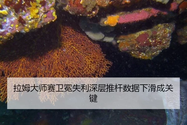 la-mu-da-shi-sai-wei-mian-shi-li-shen-ceng-tui-gan-shu-ju-xia-hua-cheng-guan-jian-3-628.jpg